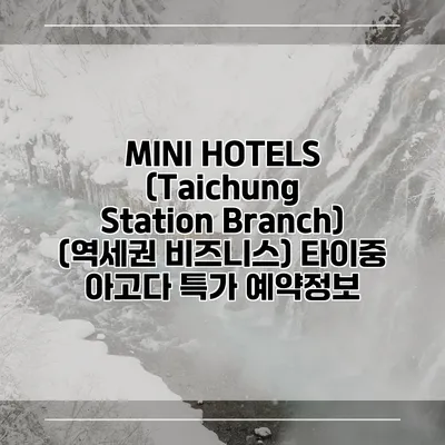 MINI HOTELS (Taichung Station Branch) (역세권 비즈니스) 타이중 아고다 특가 예약정보