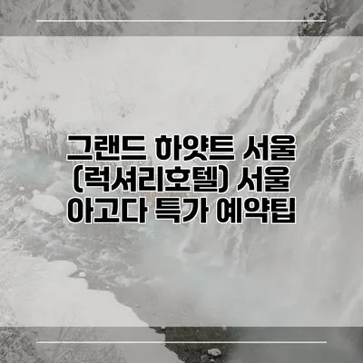 그랜드 하얏트 서울 (럭셔리호텔) 서울 아고다 특가 예약팁