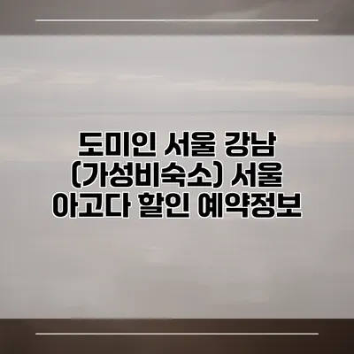 도미인 서울 강남 (가성비숙소) 서울 아고다 할인 예약정보