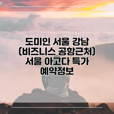 도미인 서울 강남 (비즈니스 공항근처) 서울 아고다 특가 예약정보