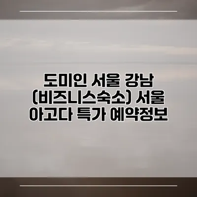 도미인 서울 강남 (비즈니스숙소) 서울 아고다 특가 예약정보