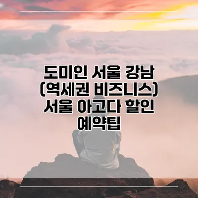 도미인 서울 강남 (역세권 비즈니스) 서울 아고다 할인 예약팁