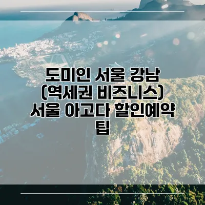 도미인 서울 강남 (역세권 비즈니스) 서울 아고다 할인예약 팁