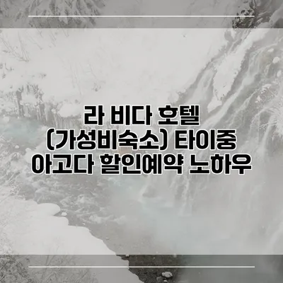 라 비다 호텔 (가성비숙소) 타이중 아고다 할인예약 노하우