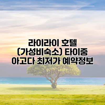라이라이 호텔 (가성비숙소) 타이중 아고다 최저가 예약정보
