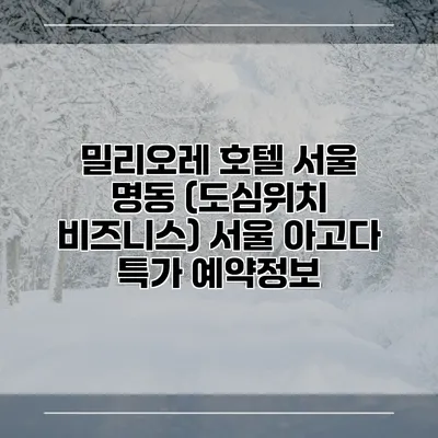 밀리오레 호텔 서울 명동 (도심위치 비즈니스) 서울 아고다 특가 예약정보