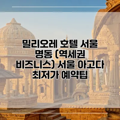 밀리오레 호텔 서울 명동 (역세권 비즈니스) 서울 아고다 최저가 예약팁