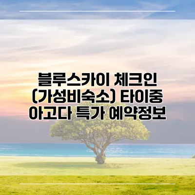 블루스카이 체크인 (가성비숙소) 타이중 아고다 특가 예약정보