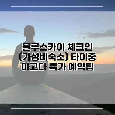 블루스카이 체크인 (가성비숙소) 타이중 아고다 특가 예약팁