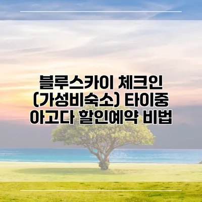 블루스카이 체크인 (가성비숙소) 타이중 아고다 할인예약 비법