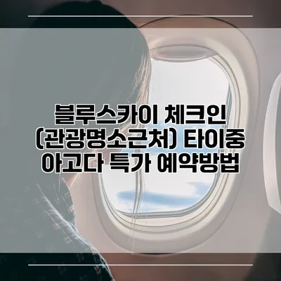블루스카이 체크인 (관광명소근처) 타이중 아고다 특가 예약방법