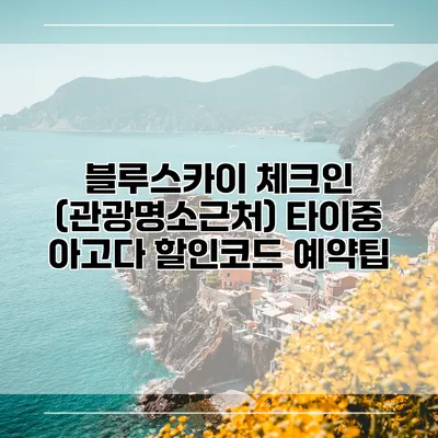 블루스카이 체크인 (관광명소근처) 타이중 아고다 할인코드 예약팁