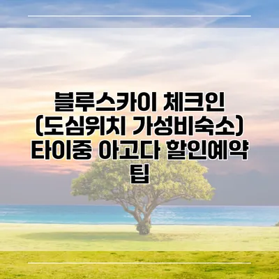 블루스카이 체크인 (도심위치 가성비숙소) 타이중 아고다 할인예약 팁