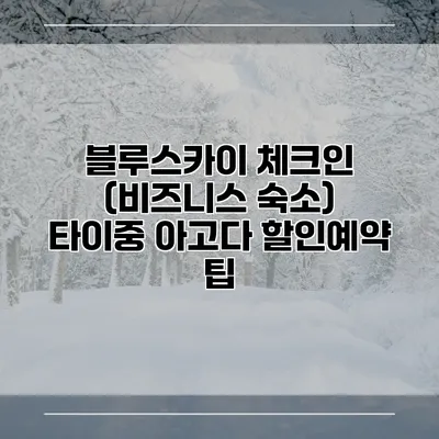 블루스카이 체크인 (비즈니스 숙소) 타이중 아고다 할인예약 팁