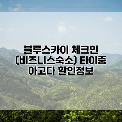블루스카이 체크인 (비즈니스숙소) 타이중 아고다 할인정보