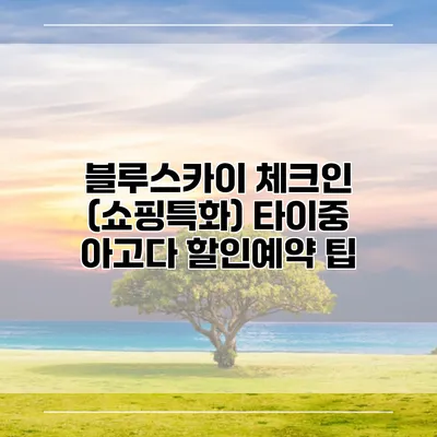 블루스카이 체크인 (쇼핑특화) 타이중 아고다 할인예약 팁