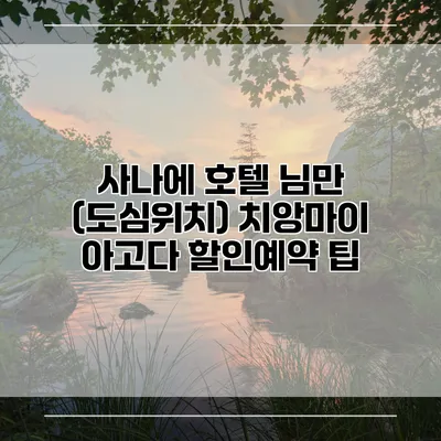 사나에 호텔 님만 (도심위치) 치앙마이 아고다 할인예약 팁