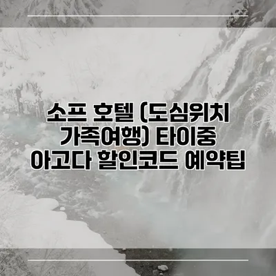 소프 호텔 (도심위치 가족여행) 타이중 아고다 할인코드 예약팁