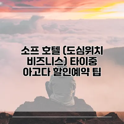 소프 호텔 (도심위치 비즈니스) 타이중 아고다 할인예약 팁