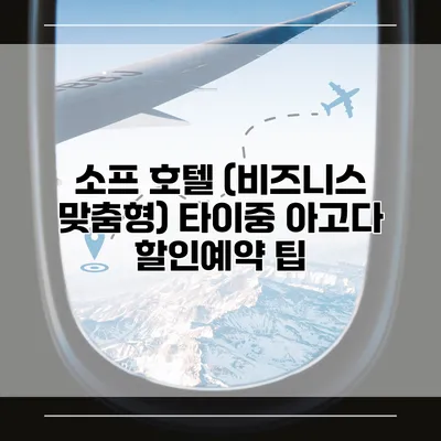 소프 호텔 (비즈니스 맞춤형) 타이중 아고다 할인예약 팁