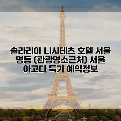 솔라리아 니시테츠 호텔 서울 명동 (관광명소근처) 서울 아고다 특가 예약정보