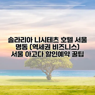 솔라리아 니시테츠 호텔 서울 명동 (역세권 비즈니스) 서울 아고다 할인예약 꿀팁