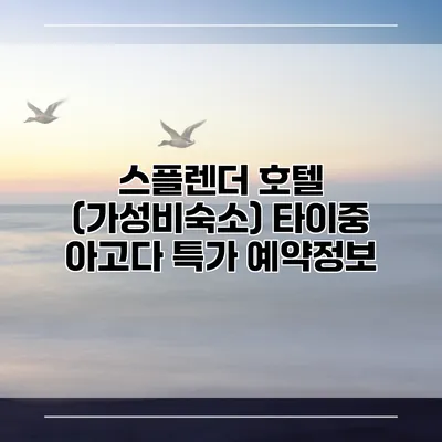 스플렌더 호텔 (가성비숙소) 타이중 아고다 특가 예약정보