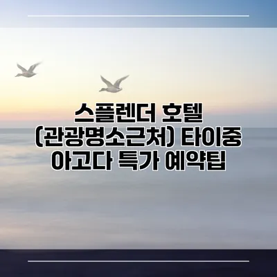 스플렌더 호텔 (관광명소근처) 타이중 아고다 특가 예약팁