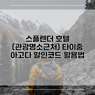 스플렌더 호텔 (관광명소근처) 타이중 아고다 할인코드 활용법