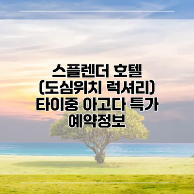 스플렌더 호텔 (도심위치 럭셔리) 타이중 아고다 특가 예약정보