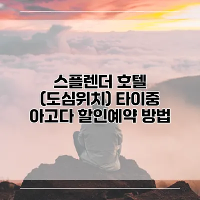 스플렌더 호텔 (도심위치) 타이중 아고다 할인예약 방법