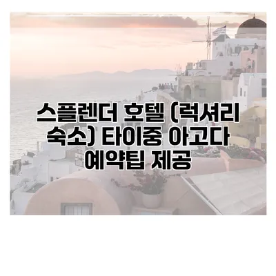 스플렌더 호텔 (럭셔리 숙소) 타이중 아고다 예약팁 제공