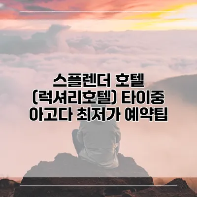 스플렌더 호텔 (럭셔리호텔) 타이중 아고다 최저가 예약팁