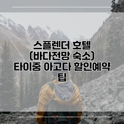 스플렌더 호텔 (바다전망 숙소) 타이중 아고다 할인예약 팁