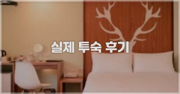 💬 실제 투숙 후기