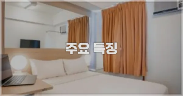 ✨ 주요 특징