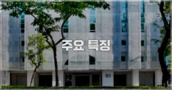 ✨ 주요 특징