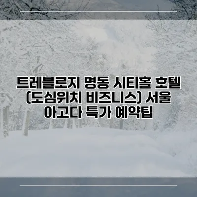 트레블로지 명동 시티홀 호텔 (도심위치 비즈니스) 서울 아고다 특가 예약팁