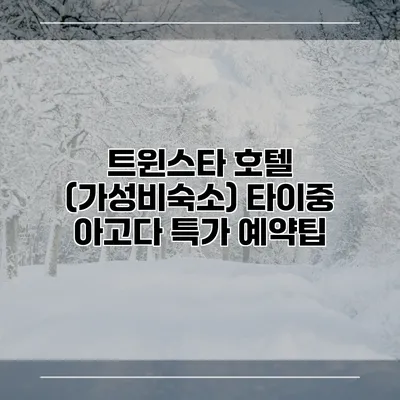 트윈스타 호텔 (가성비숙소) 타이중 아고다 특가 예약팁