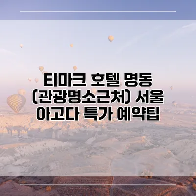 티마크 호텔 명동 (관광명소근처) 서울 아고다 특가 예약팁