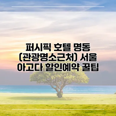 퍼시픽 호텔 명동 (관광명소근처) 서울 아고다 할인예약 꿀팁