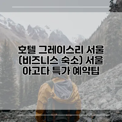 호텔 그레이스리 서울 (비즈니스 숙소) 서울 아고다 특가 예약팁
