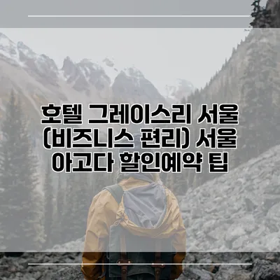 호텔 그레이스리 서울 (비즈니스 편리) 서울 아고다 할인예약 팁