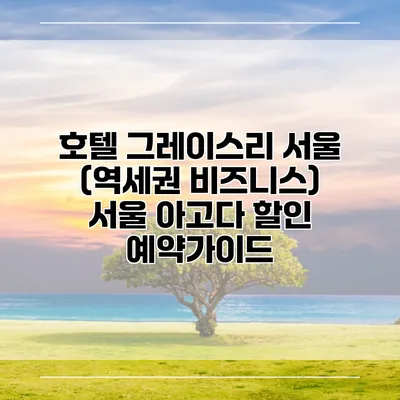 호텔 그레이스리 서울 (역세권 비즈니스) 서울 아고다 할인 예약가이드