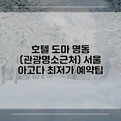 호텔 도마 명동 (관광명소근처) 서울 아고다 최저가 예약팁