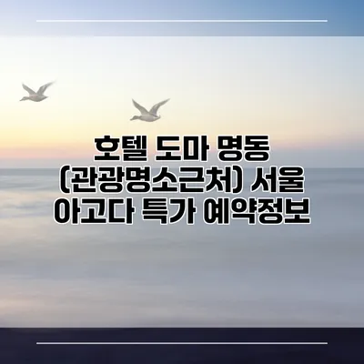 호텔 도마 명동 (관광명소근처) 서울 아고다 특가 예약정보