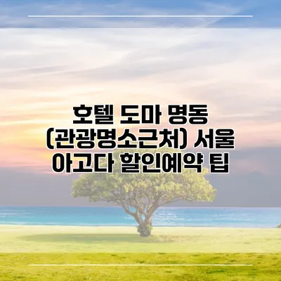 호텔 도마 명동 (관광명소근처) 서울 아고다 할인예약 팁