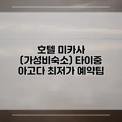 호텔 미카사 (가성비숙소) 타이중 아고다 최저가 예약팁