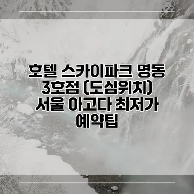호텔 스카이파크 명동 3호점 (도심위치) 서울 아고다 최저가 예약팁