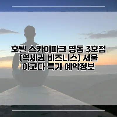 호텔 스카이파크 명동 3호점 (역세권 비즈니스) 서울 아고다 특가 예약정보